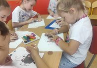 img (7)